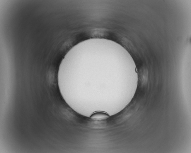 X0000111860619200908131500