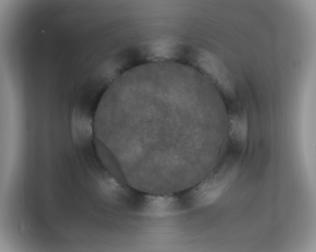 X0000111860621200908131500