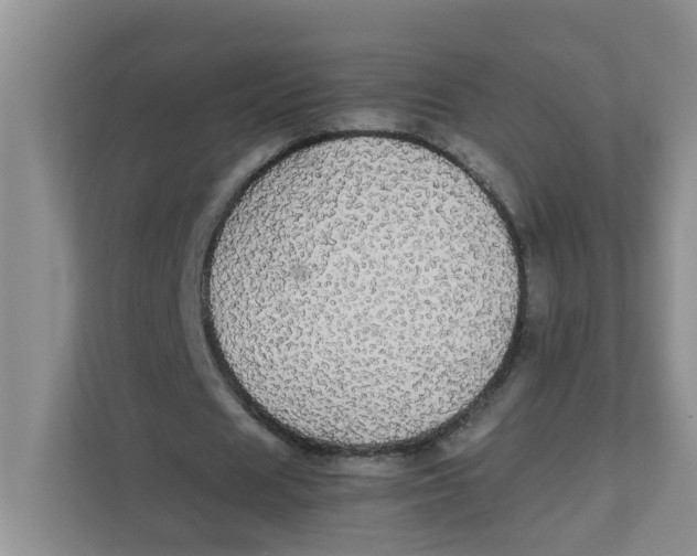 X0000111860625200908131500