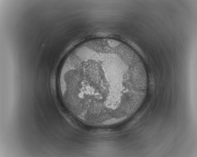 X0000111860626200908131500