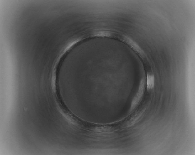 X0000111860627200908131500