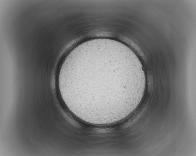 X0000111860629200908131500