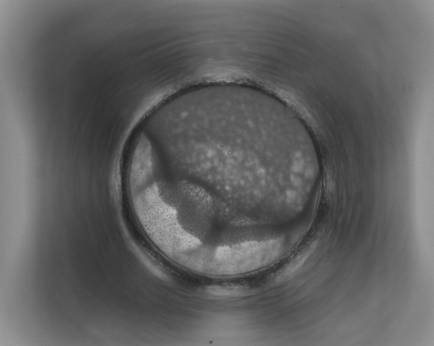 X0000111860630200908131500