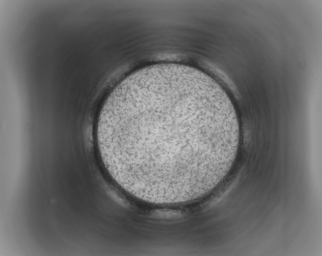 X0000111860633200908131500