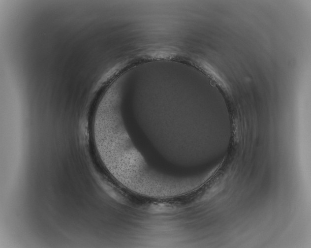 X0000111860634200908131500