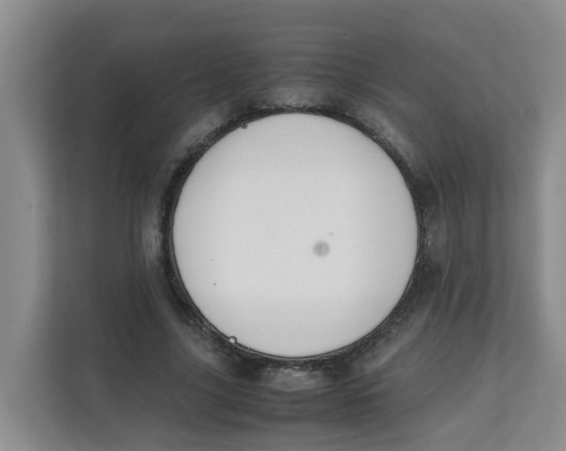 X0000111860635200908131500