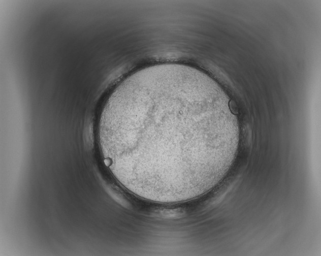 X0000111860638200908131500