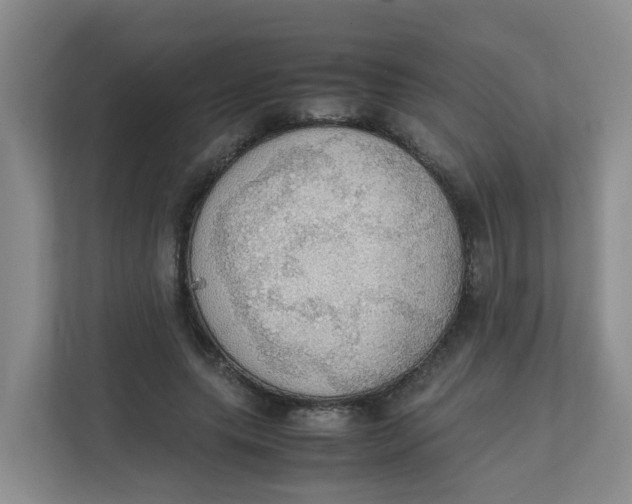 X0000111860639200908131500