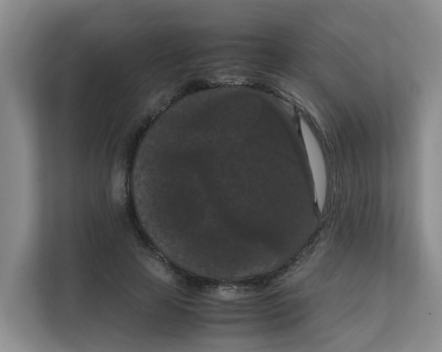 X0000111860641200908131500