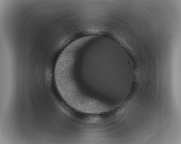 X0000111860642200908131500