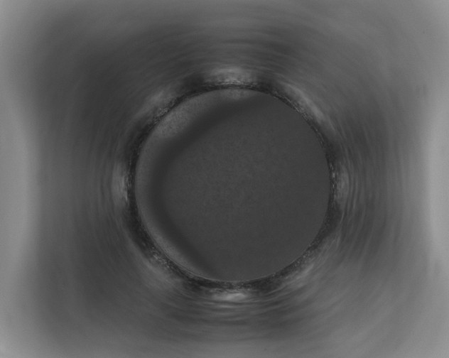 X0000111860643200908131500