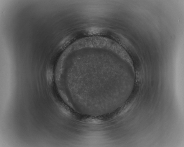 X0000111860648200908131500