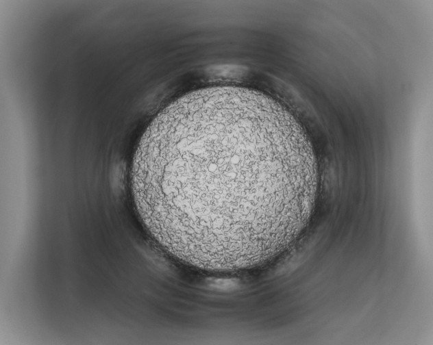 X0000111860649200908131500