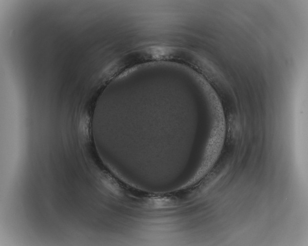 X0000111860650200908131500