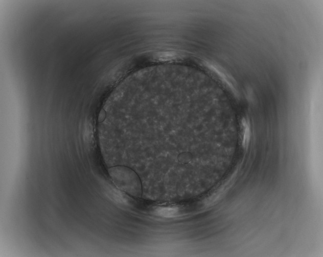 X0000111860653200908131500