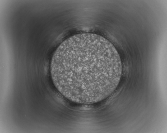 X0000111860656200908131500