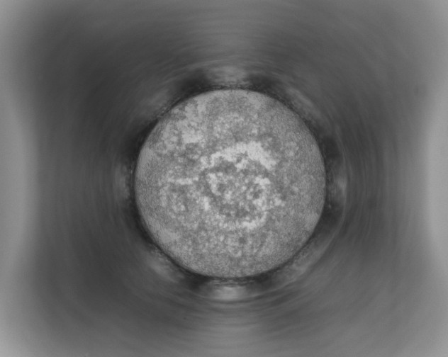 X0000111860658200908131500