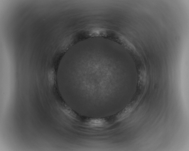 X0000111860659200908131500