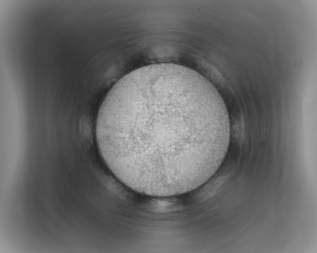 X0000111860662200908131500