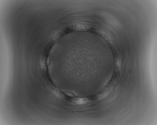 X0000111860663200908131500