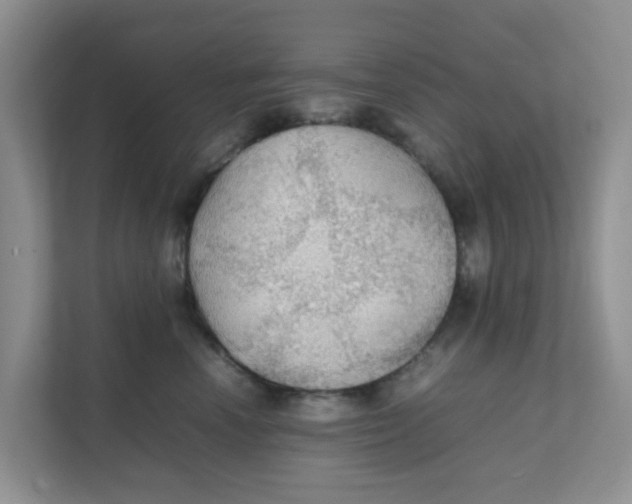 X0000111860666200908131500