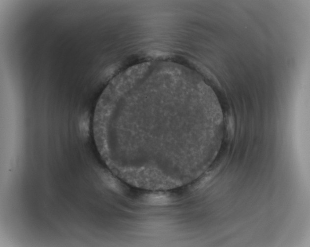 X0000111860668200908131500