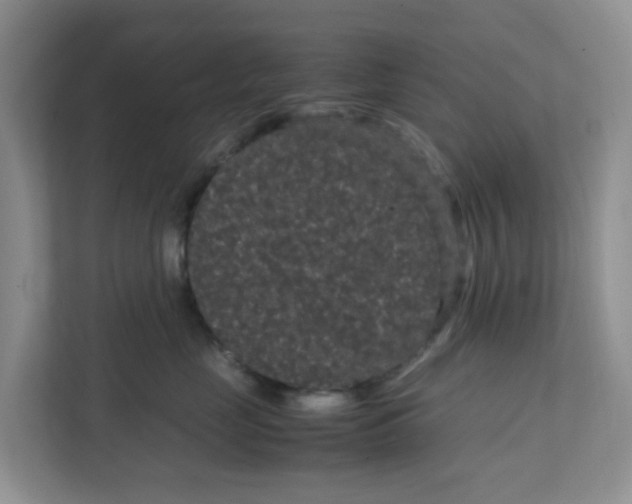 X0000111860669200908131500