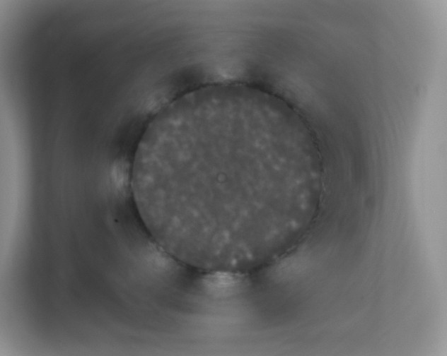 X0000111860672200908131500