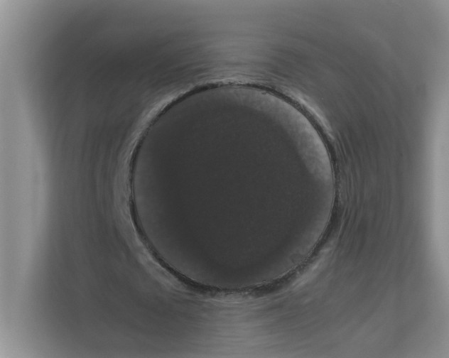 X0000111860673200908131500