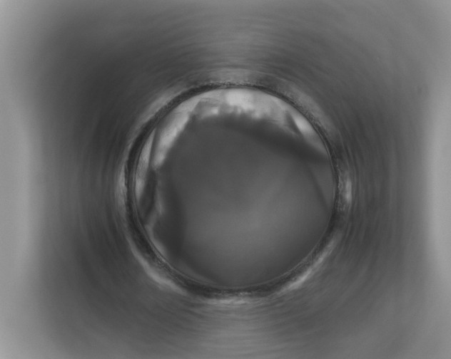 X0000111860674200908131500