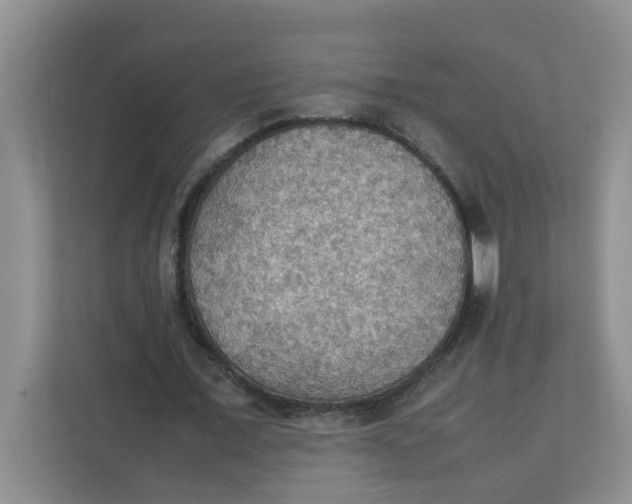 X0000111860675200908131500