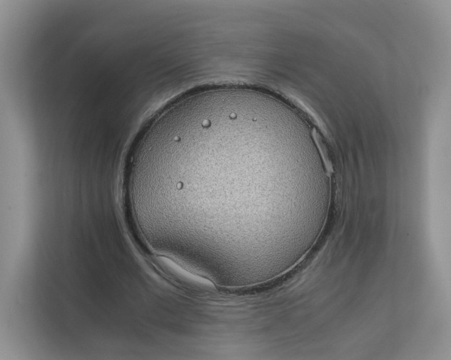 X0000111860677200908131500