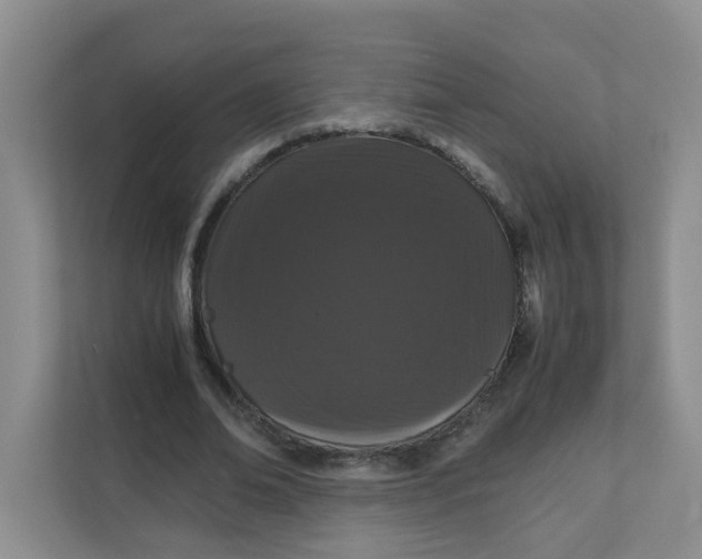 X0000111860678200908131500