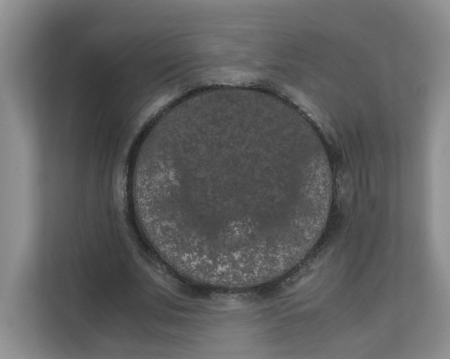 X0000111860679200908131500