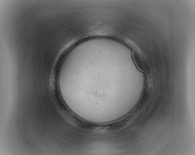 X0000111860680200908131459