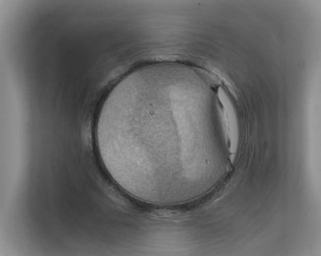 X0000111860681200908131459