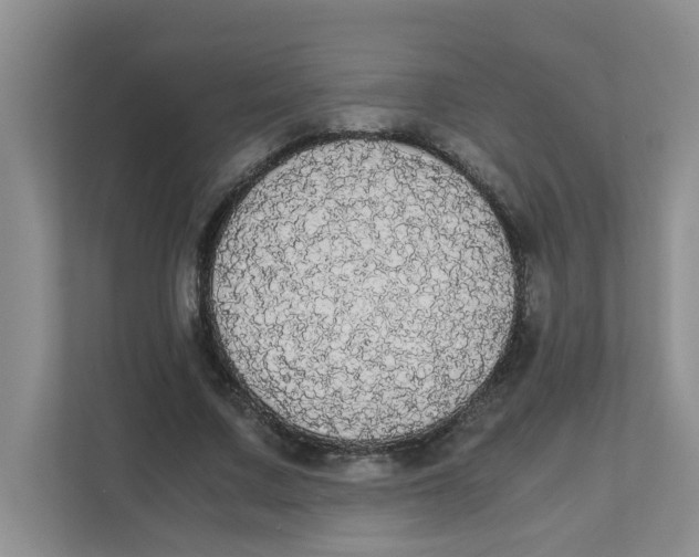 X0000111860683200908131459