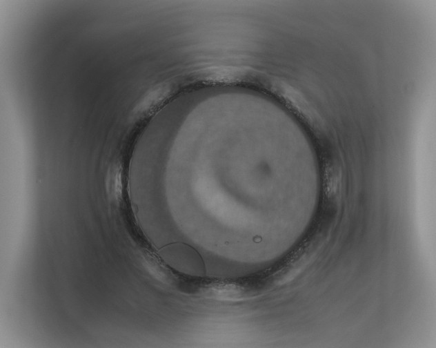 X0000111860685200908131459