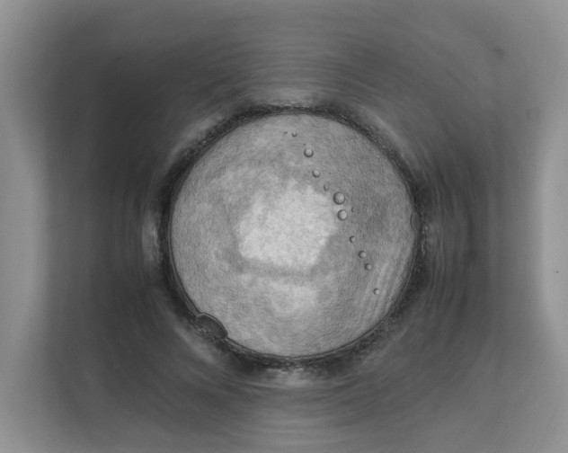 X0000111860688200908131459