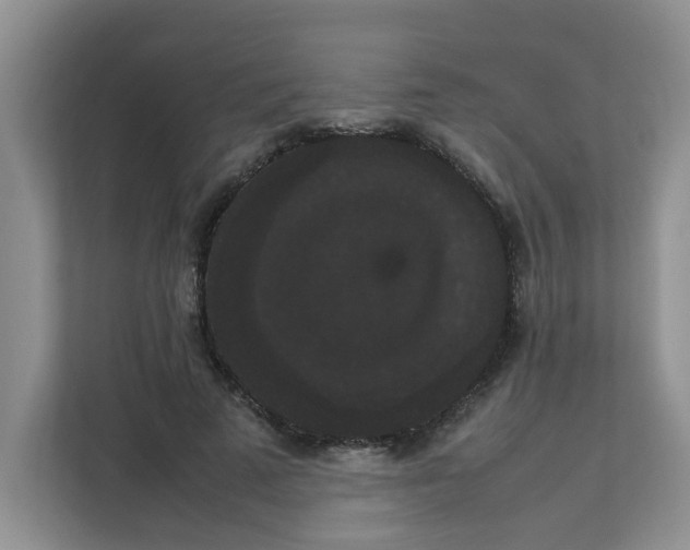 X0000111860689200908131459