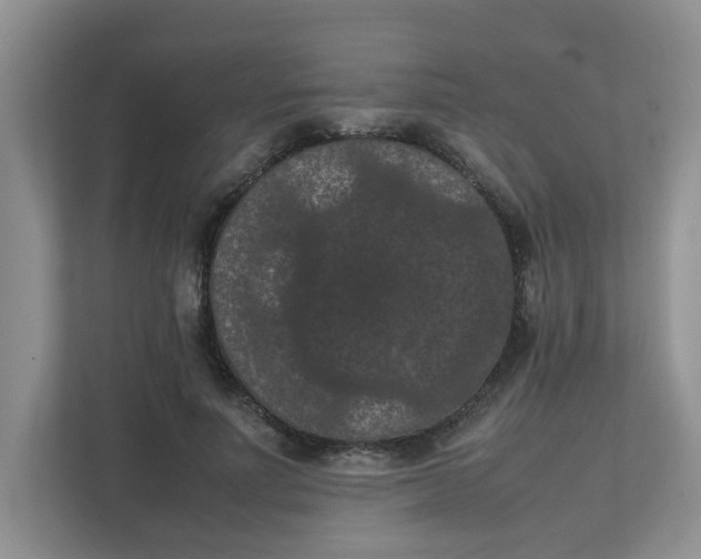 X0000111860691200908131459