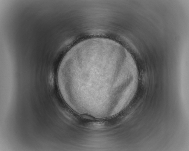 X0000111860692200908131459