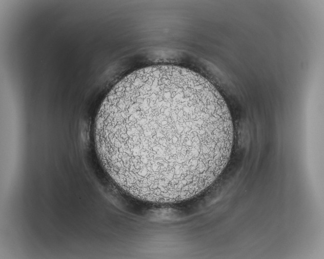 X0000111860695200908131459