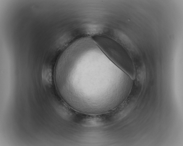 X0000111860696200908131459