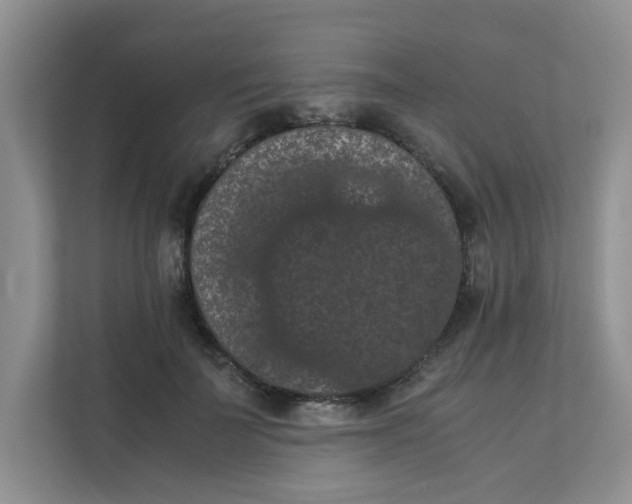 X0000111860699200908131459