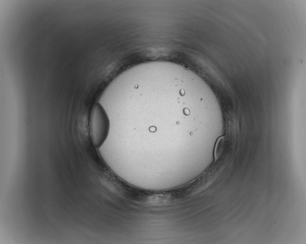 X0000111860700200908131459