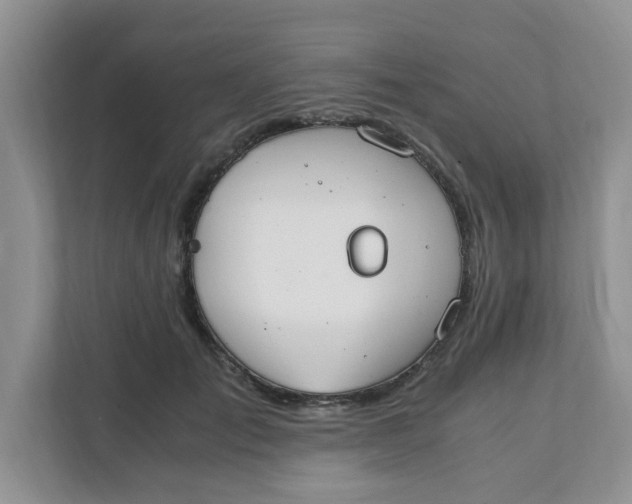 X0000111860701200908131459