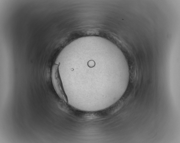 X0000111860704200908131459