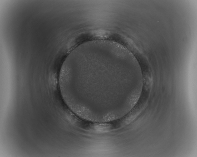 X0000111860707200908131459