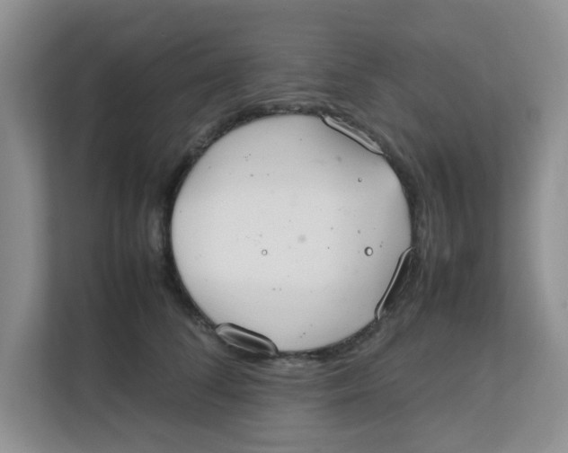 X0000111860708200908131459